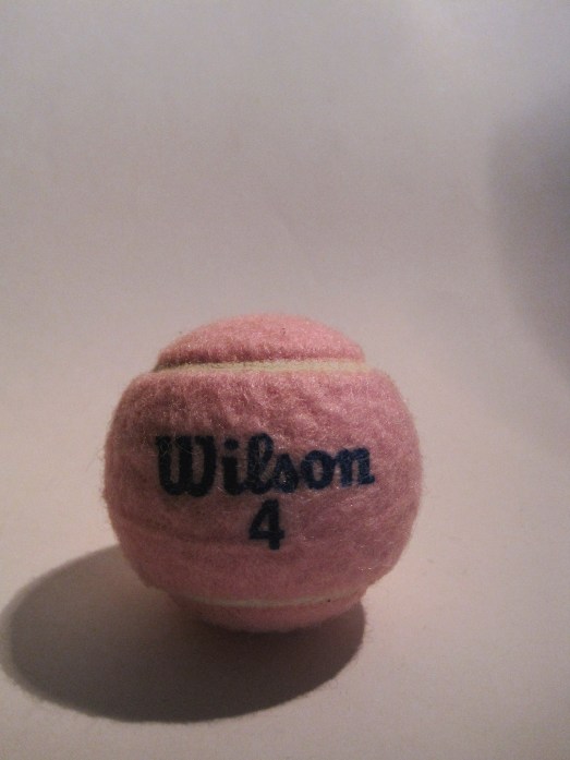 Wilson4