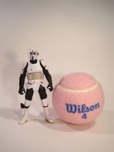 BikerScoutSmallWilson